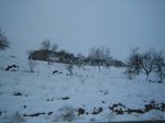 IMG_2149.JPG