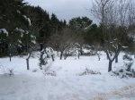 DSC01263.JPG