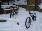 DSC01268.JPG