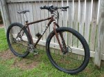 Brown5[1].jpg
