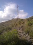 Movil 265.jpg