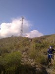 Movil 266.jpg