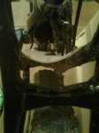 Imagen0024.jpg