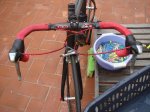 DSC08102.JPG