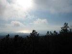 DSC01962.JPG