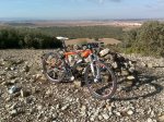 ktm team lc.JPG