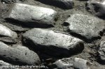 2010_tour_of_flanders_ronde_van_vlaanderen_koppenberg_cobbles2.jpg