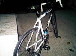IMG00256-20111116-1855.jpg