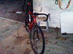 IMG00258-20111116-1855.jpg