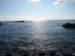 DSC01984.JPG