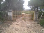 puerta.jpg