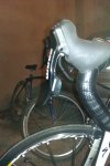 IMAG0065_400_600.jpg