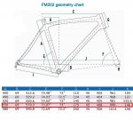 FM202-2.JPG