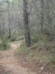 DSC01878.JPG
