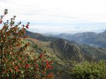 IMG_1944.JPG