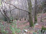 IMG_1956.JPG