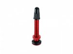 american-classic-tubeless-valve.jpg