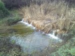 191120113460_1024x768.jpg