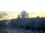 img2011040700067.jpg