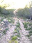 img2011040700069.jpg