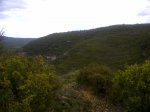 img2011042500125.jpg