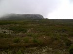 img2011111301565.jpg
