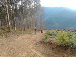 2011-11-19 11.07.51_800x600.jpg