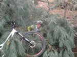 2011-11-19 11.46.17_800x600.jpg