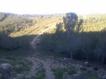lescovesdevinrom2011040.jpg