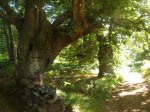DSC04680_.jpg