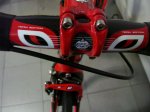 Pinarello 21 (Large).JPG