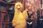 sesame2we.jpg