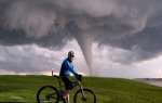PACO TORNADO.jpg