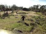 DSC02453.JPG