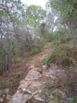 DSCN0978.JPG