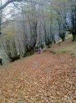 20112011989.jpg
