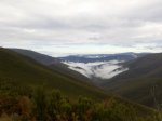 IMG010.jpg