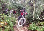 DSCF4378.JPG