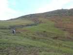 PB201003 (Copiar).JPG