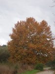 PB190002.JPG