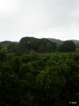 PB190007.JPG