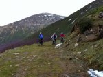 IMG_1440.jpg