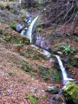 IMG_1425.jpg