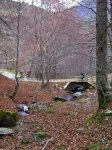 IMG_1423.jpg