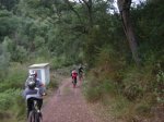 DSC04410.JPG