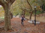 DSC04447.JPG