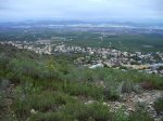 IMG_0009.JPG