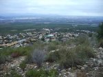 IMG_0010.JPG