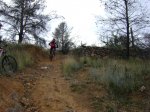 DSC04450.JPG