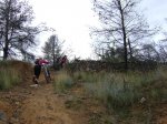 DSC04451.JPG